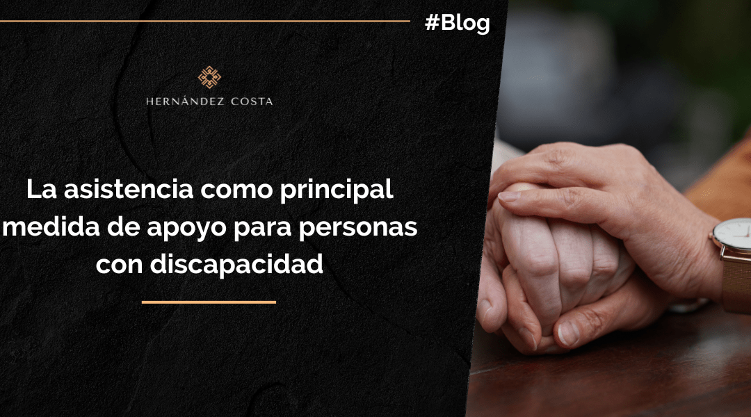 La asistencia como principal medida de apoyo para personas con discapacidad