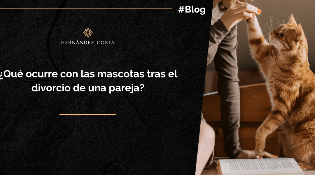 mascota-en-el-divorcio