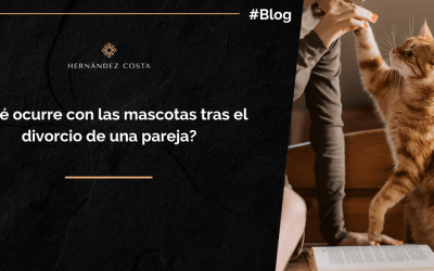 ¿Qué ocurre con las mascotas tras la separación o el divorcio?